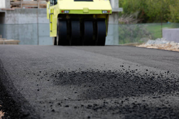 Best Local Driveway Pavers  in Hastings, MI