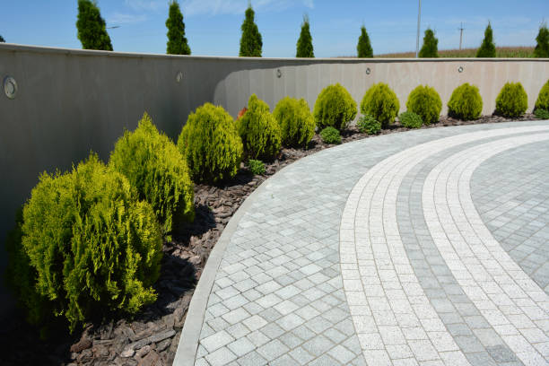 Best Residential Paver Driveway  in Hastings, MI